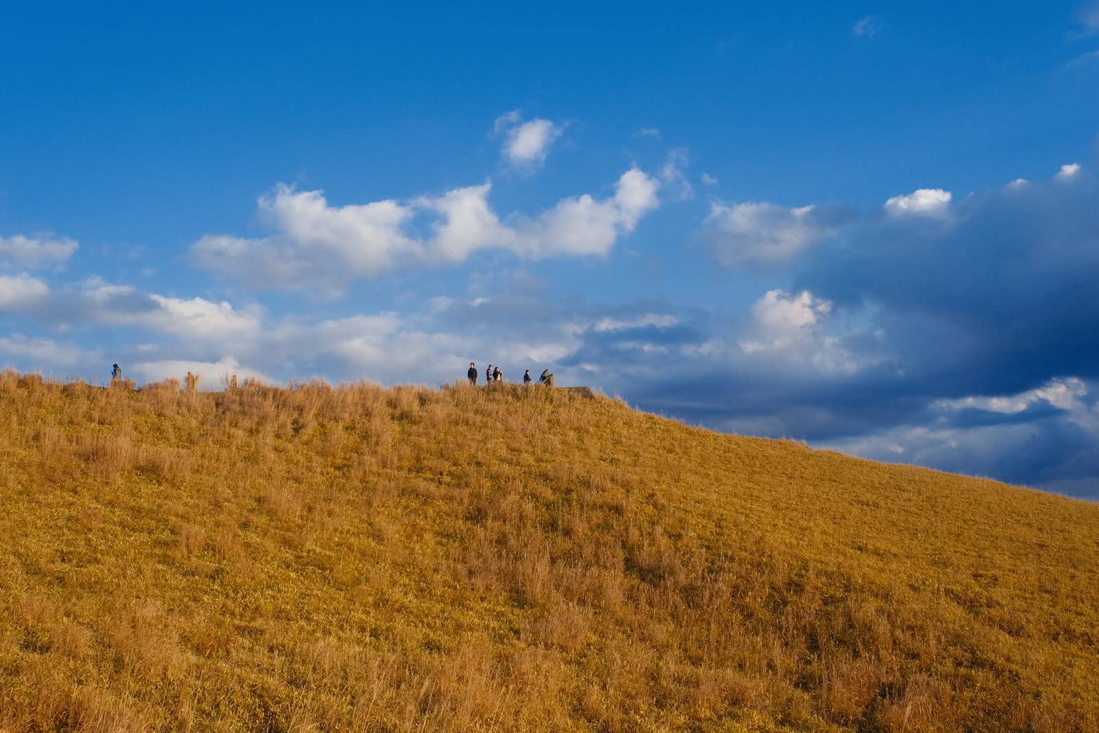 Batch image optimization result